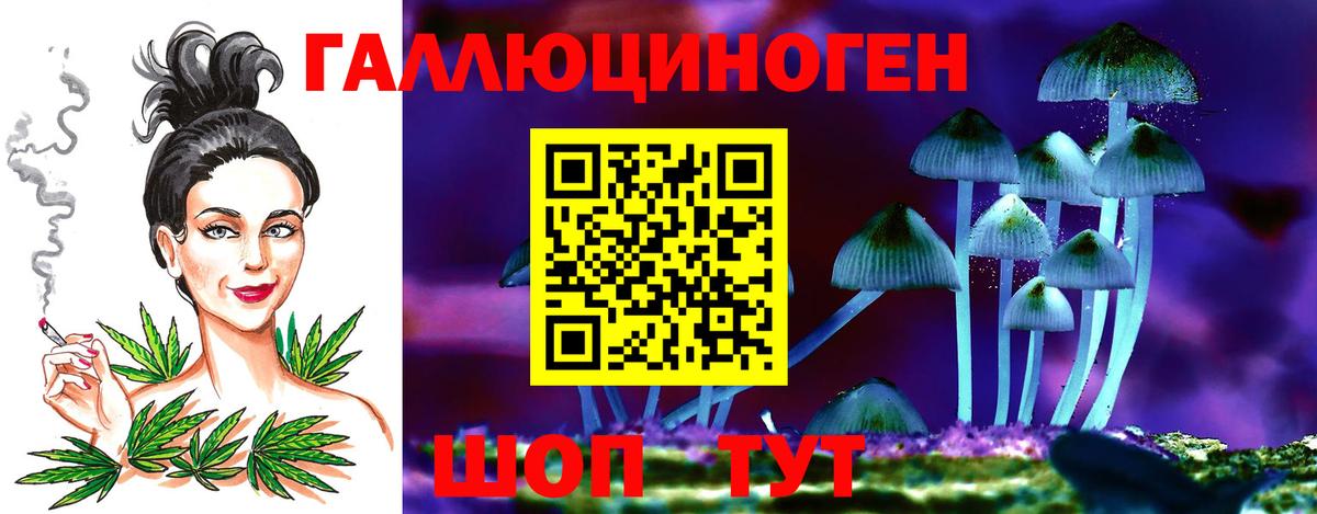 Галлюциногенные грибы мицелий Гусь-Хрустальный