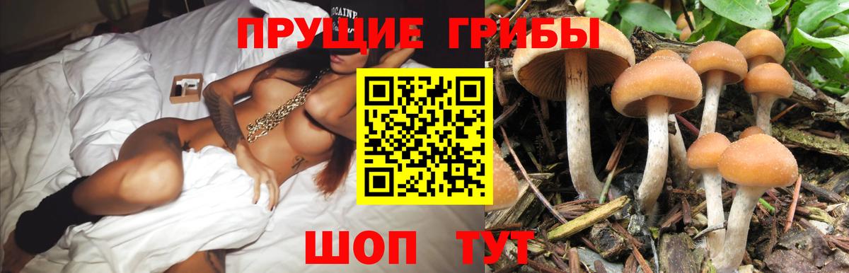 Псилоцибиновые грибы MAGIC MUSHROOMS  Вход с VPN  купить   Гусь-Хрустальный 