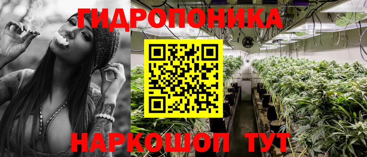Бошки Шишки сатива  Каннабис Ganja  Гусь-Хрустальный  Каннабис Ganja  Вход с VPN  Каннабис THC 21% 